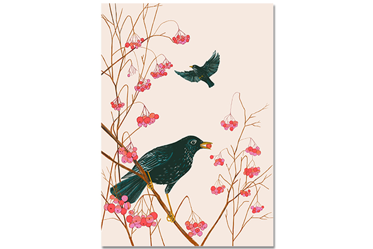 Postkarte Amsel