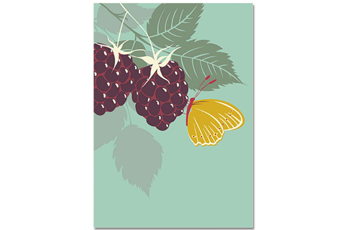 Postkarte Brombeeren